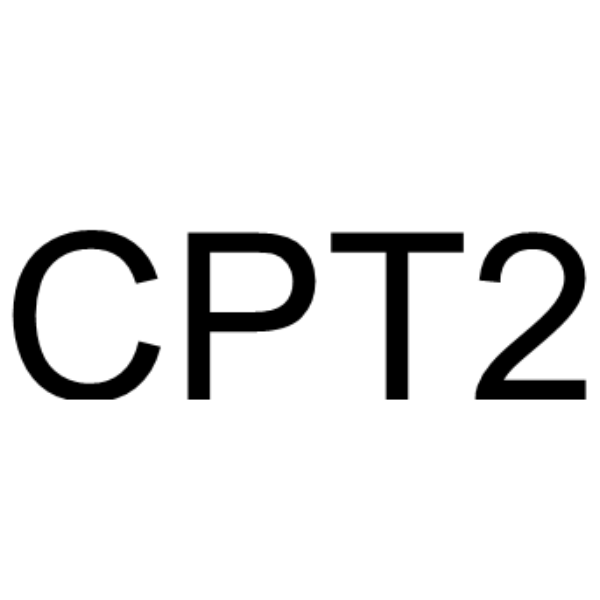 CPT2 (Carnitine palmitoyltransferase 2) 1670277-66-3